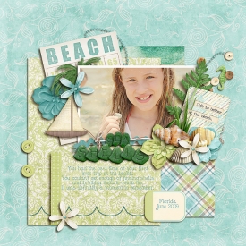 sea-shells-700.jpg