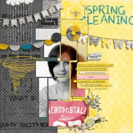 springcleaningsmall.jpg