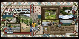the-wild-outdoors.jpg