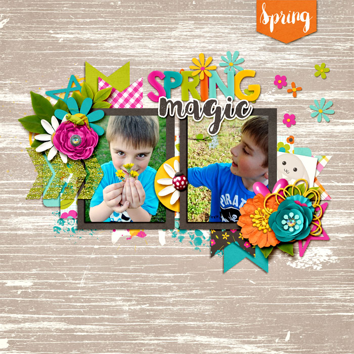 2015_spring