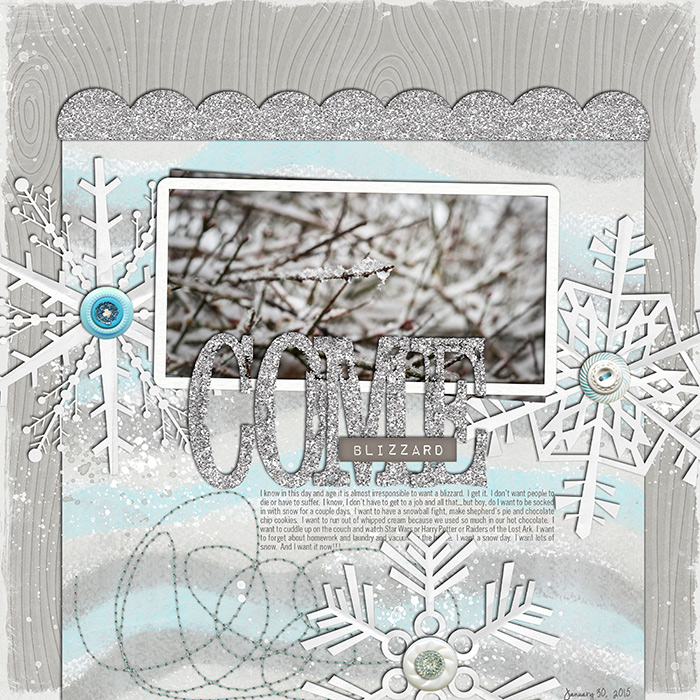 21_2015_comeblizzard700w