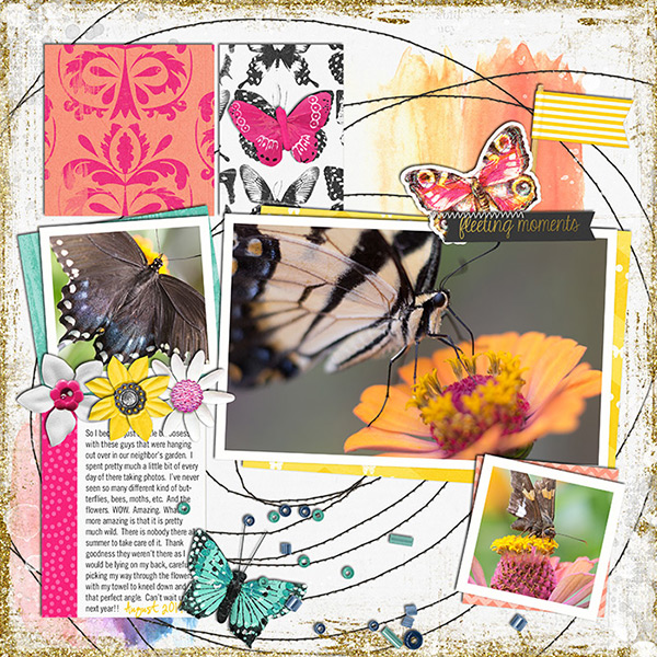 52_2014_Butterflies_600w