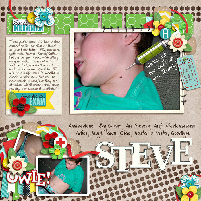 Goodbye-Steve