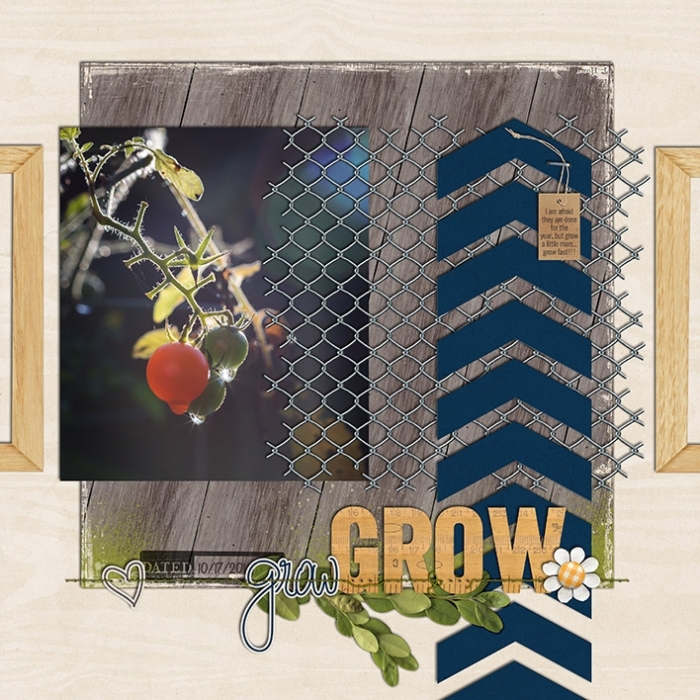 grow GROW