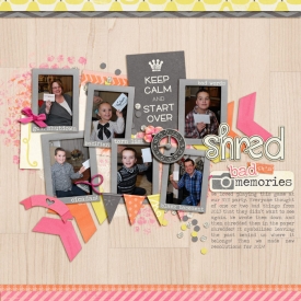 12-31-13-Shred-web.jpg