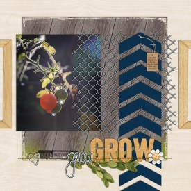 35_2014_GROWGROW_700w.jpg