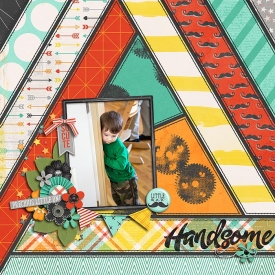 Handsome14.jpg