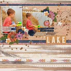 Lake_fdd_FiddlesticksNumber63-copy.jpg