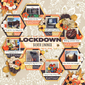 Lockdown-700.jpg