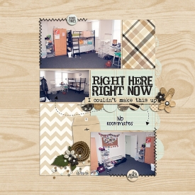 No-roommates.jpg