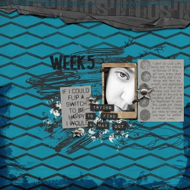 PLM_Week5700.jpg