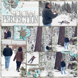 Snow-Perfection.jpg