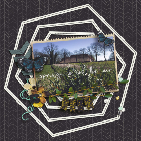 Spring-is-in-the-air-800.jpg