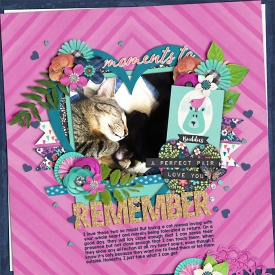 web_cats.jpg