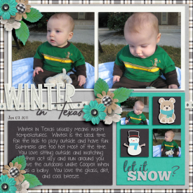winterintexas01072011web.jpg