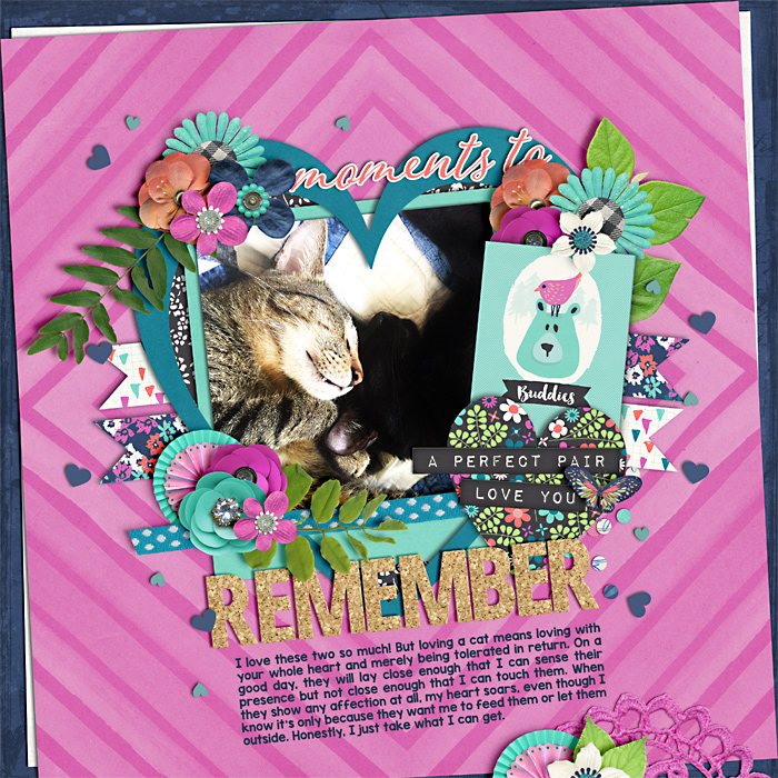 web_cats