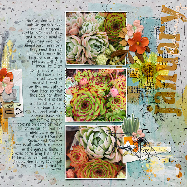 12x12-SUCCULENTS---JANUARY-PLANNING