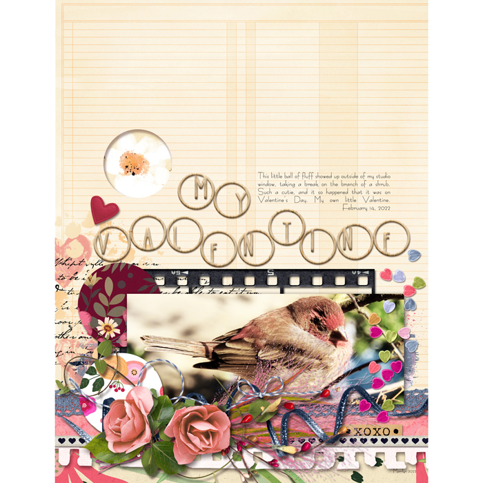 2022-02_February_SSD_0219_Neapolitan_web