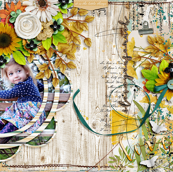 700ssdtcot_shabbychic3_tem