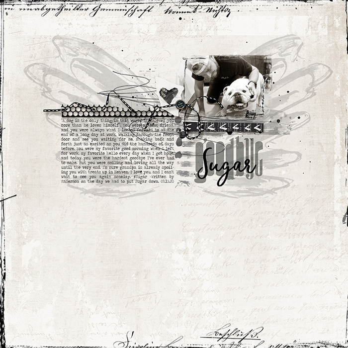Anderson_Goodbye_Sugar