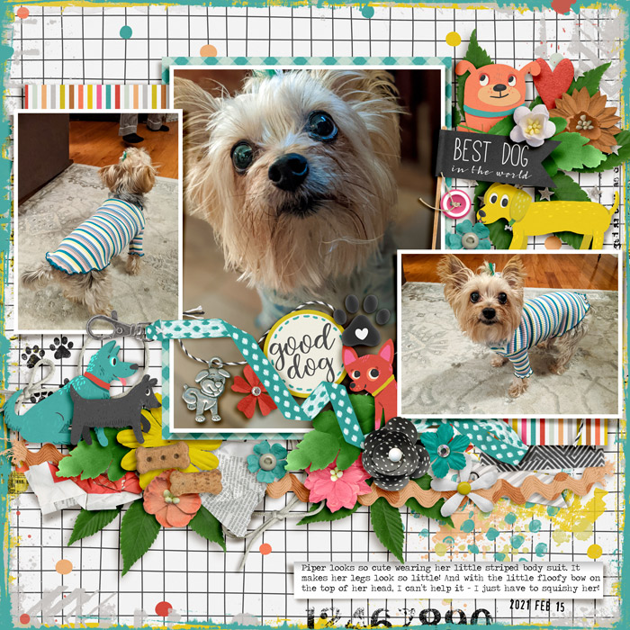 BestDogintheWorld_Piper_2021-02-15