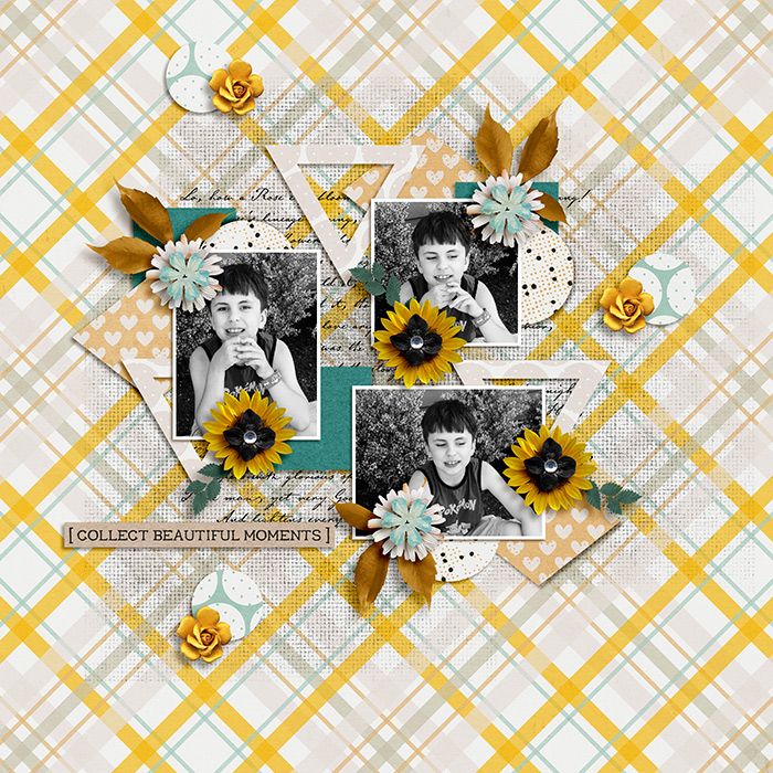 Collect-Beautiful-Memories