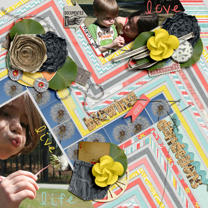 Dandelion_jenevang_web