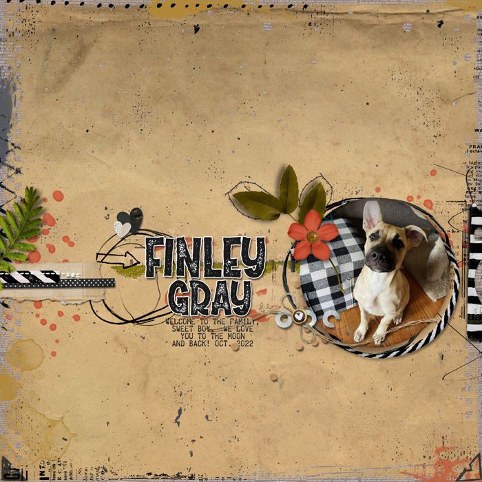 FinleyGray_Oct2022_700