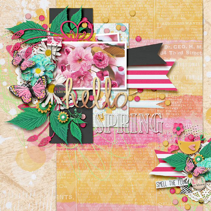 Hello-spring-700