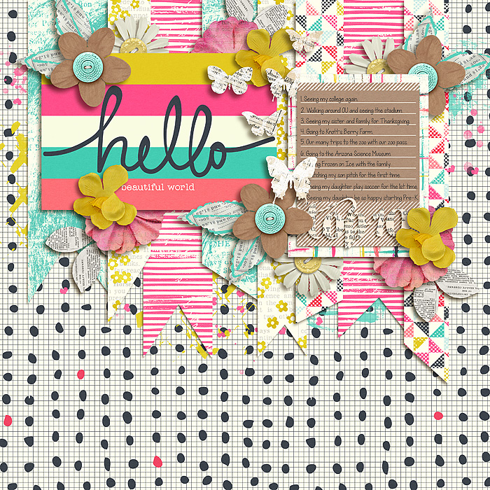 HelloBeautifulWorld_SSD_mrsashbaugh