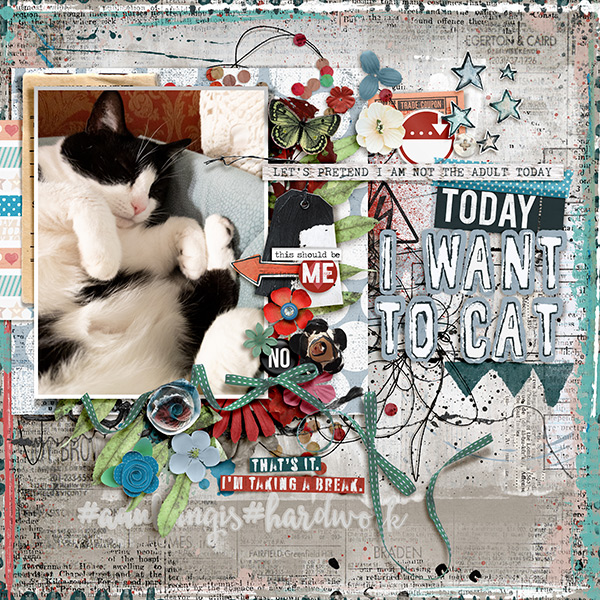 IWantToCat_HollyBelle_2019-08-22