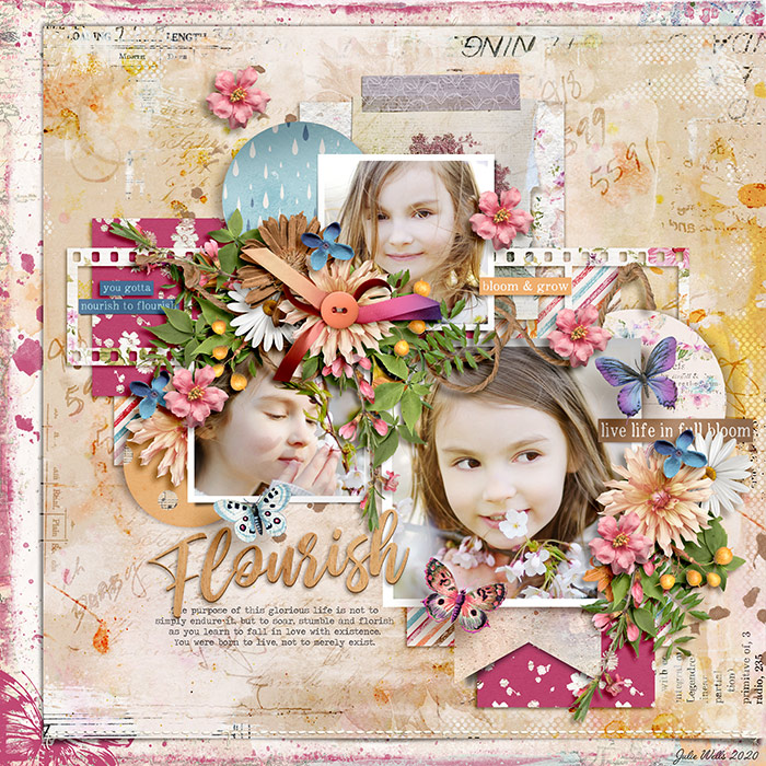SB_SSD_flourish