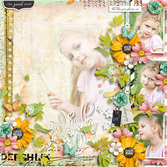 SB_SSD_wish