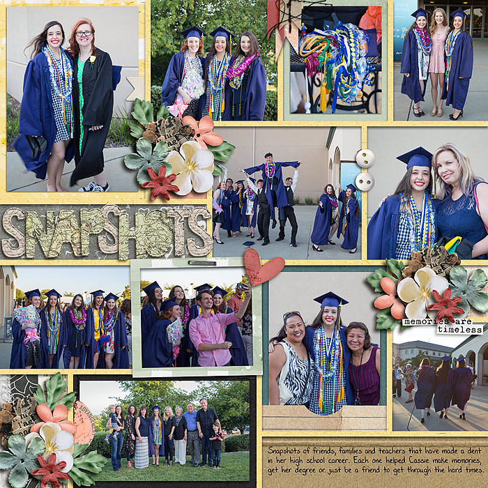 Snapshots-Grad