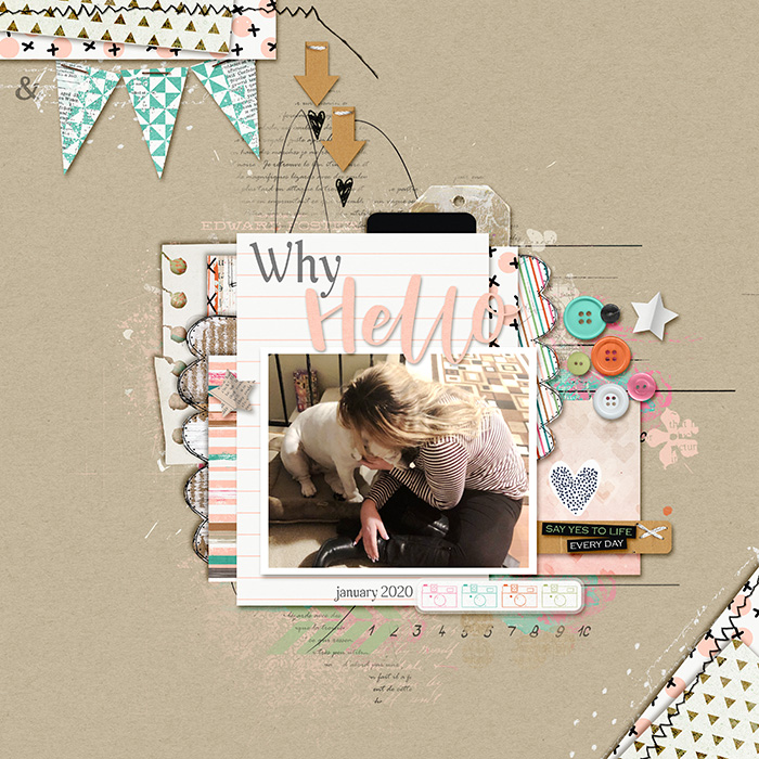 Why_Hello