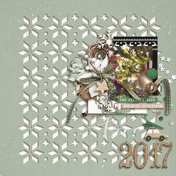 advent-copy