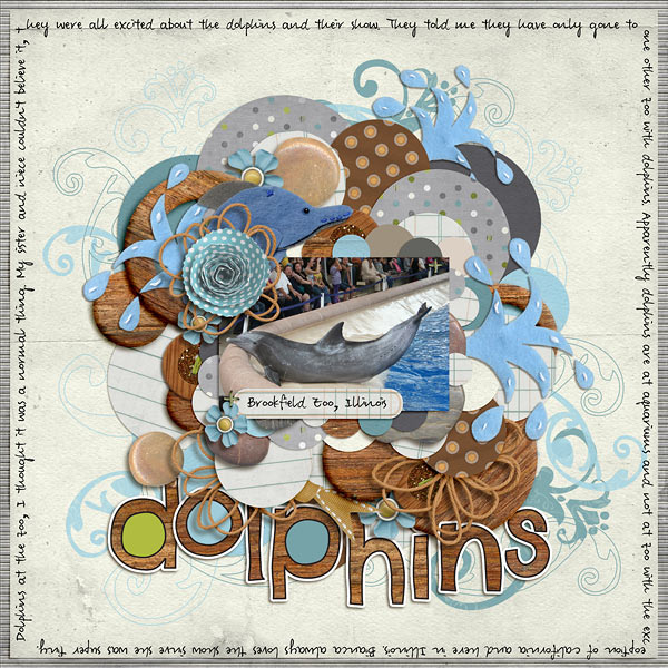 dolphins-72ppi