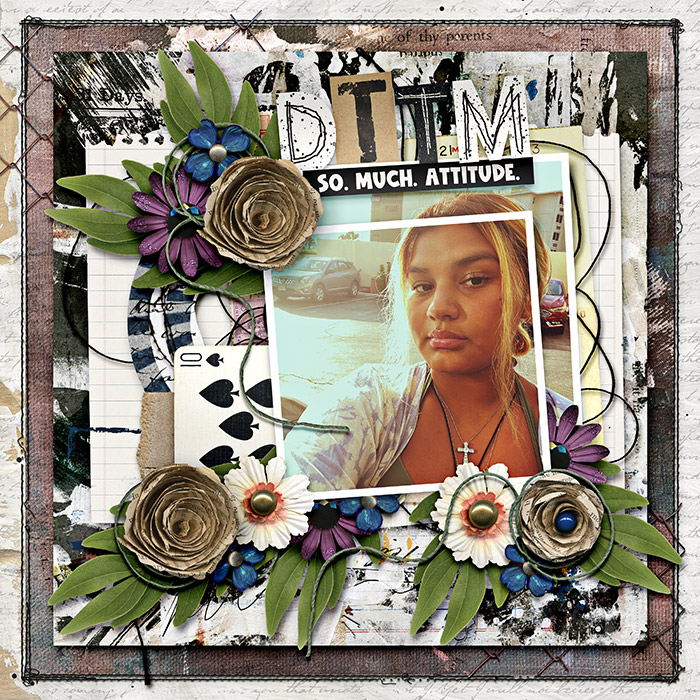 dttm-sbasic_adjusttattitude