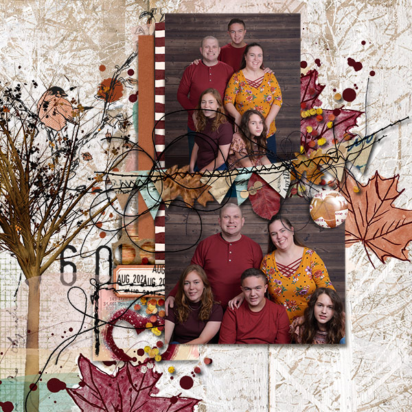 familyseasons