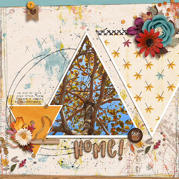 home-copy3