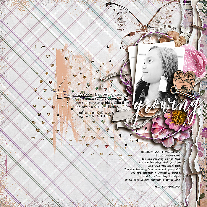 insd2024_blindscrap_scrappydonna-layout
