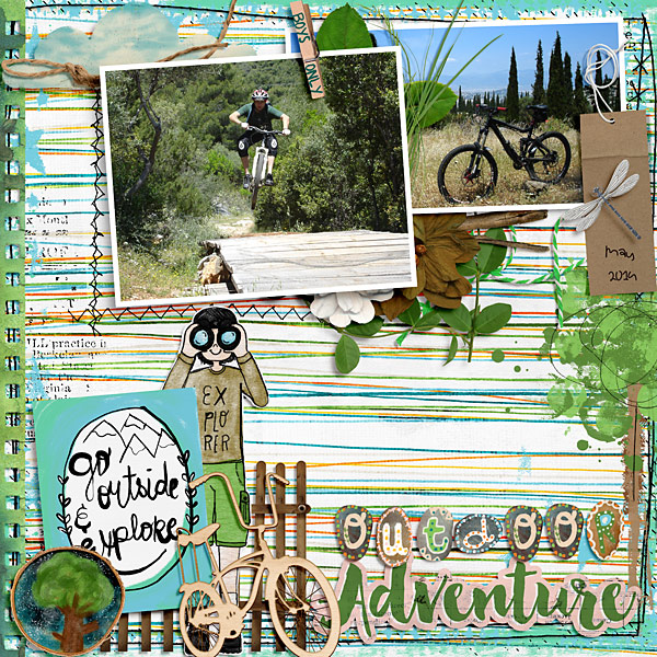 lbw-sbasic-Backyardscape