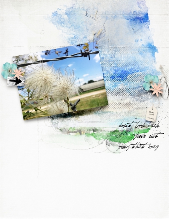 AfternoonStrollNo2