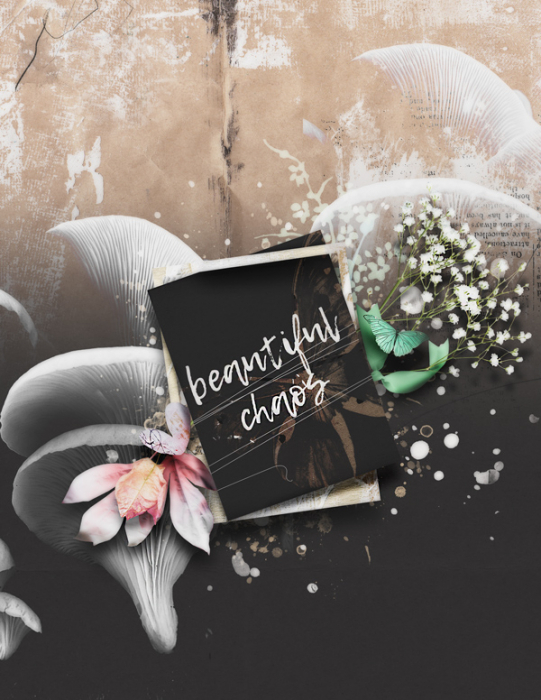 beAutifuLchAos1