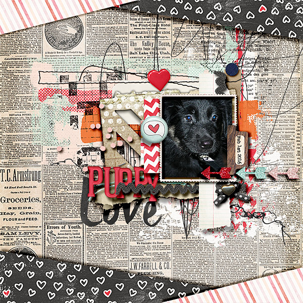 puppylove9