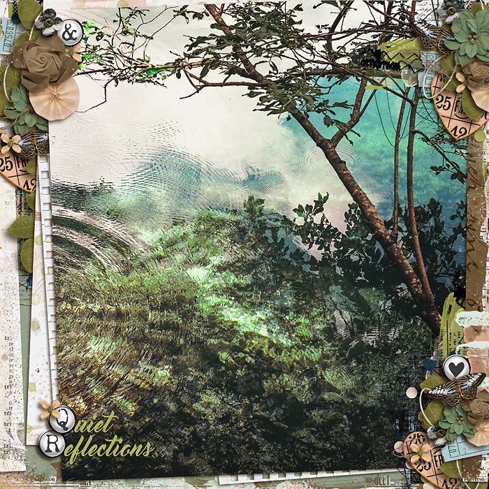 quietreflectionsF700