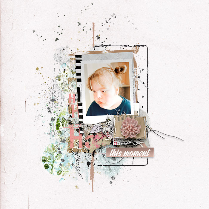 sbasic-takethepicture-Tracy
