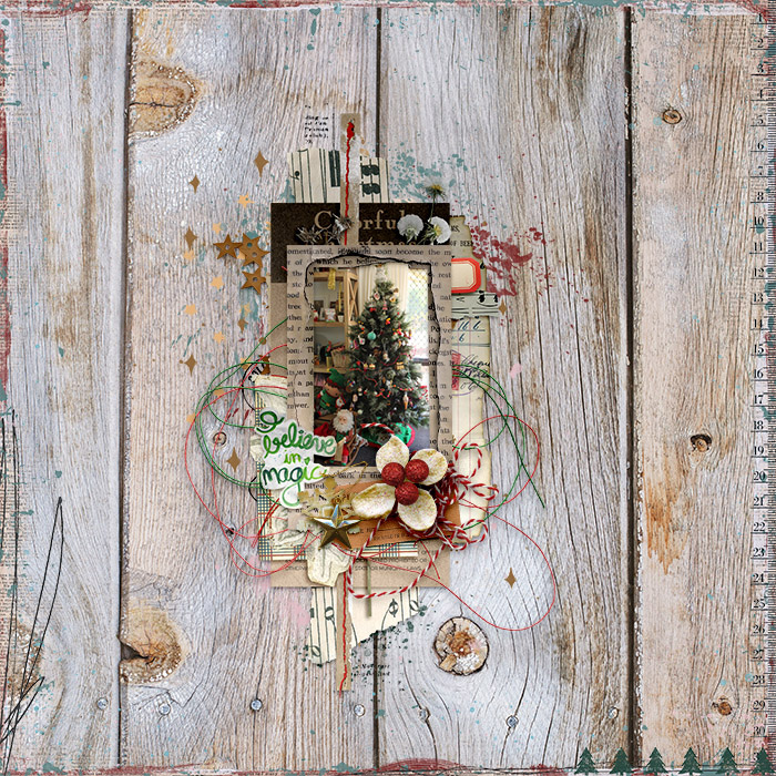 sbasic_celebratedecember-Tracy