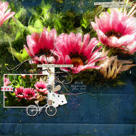 12X12-PINK-GAZANIAS---MAKE-YOUR-SOUL-HAPPY.jpg