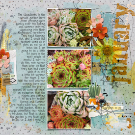 12x12-SUCCULENTS---JANUARY-PLANNING.jpg